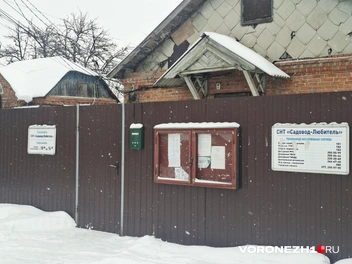 Источник: Алена Воропаева / Voronezh1.ru