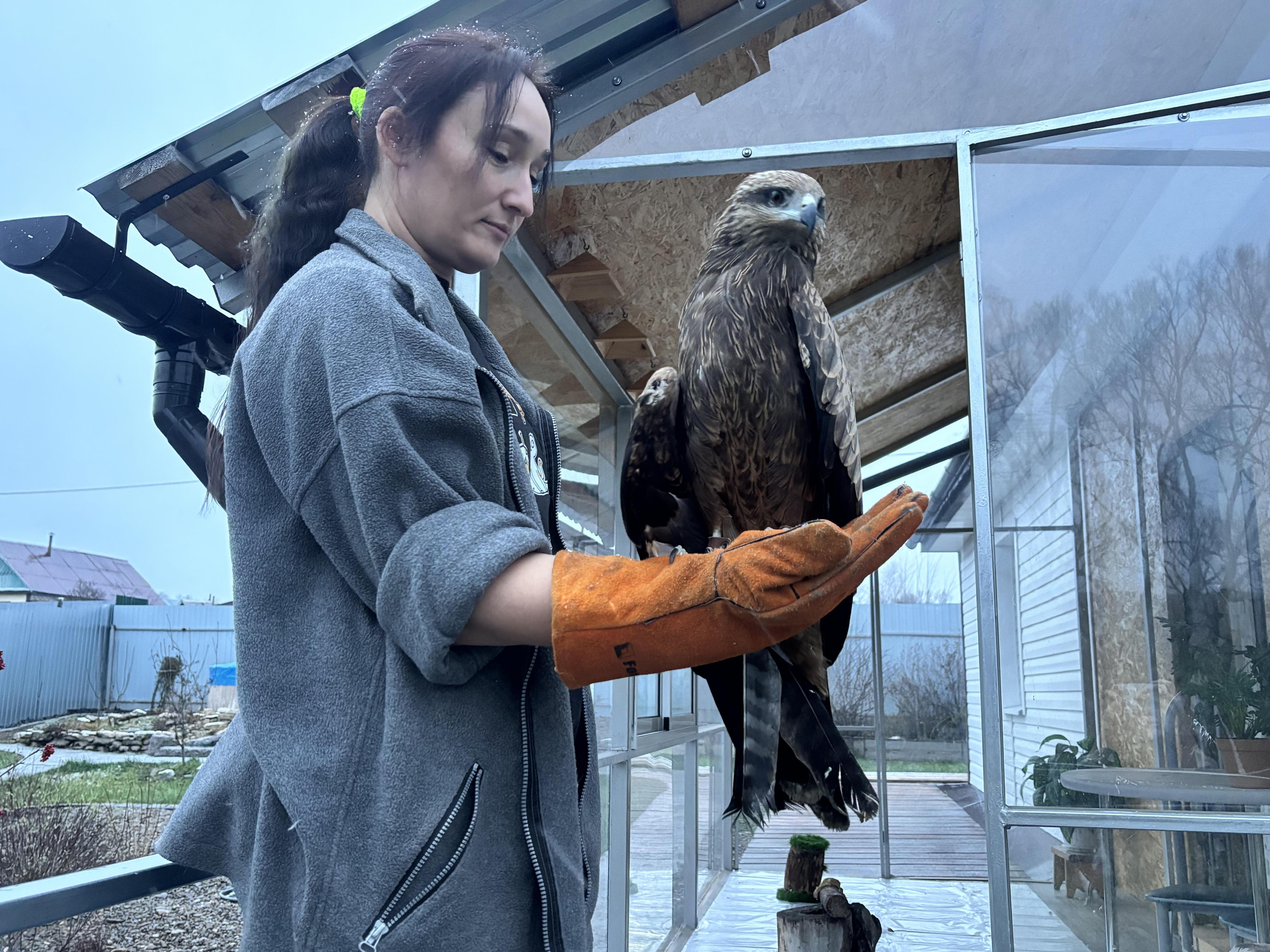 «Я столько негатива выслушиваю»: айтишница в татарском селе однажды спасла птицу и понеслось — видео