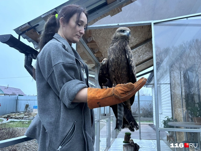 Елизавета 15 лет занимается спасением птиц | Источник: Ильгиз Шарифзянов / 116.RU