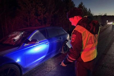 Под Березовским Audi сбила пенсионера, он погиб