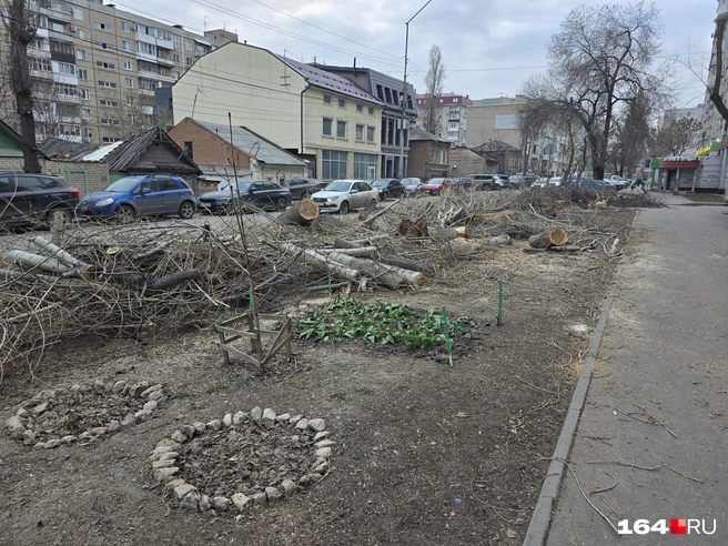 Деревья и ветки спилили, но пока не убрали | Источник: Семен Коротов-Майбах / 164.RU