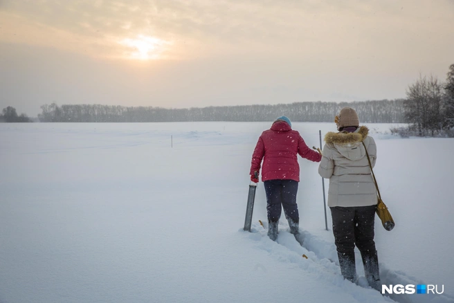 В западных регионах температура будет выше климатической нормы | Источник: Александр Ощепков / NGS.RU