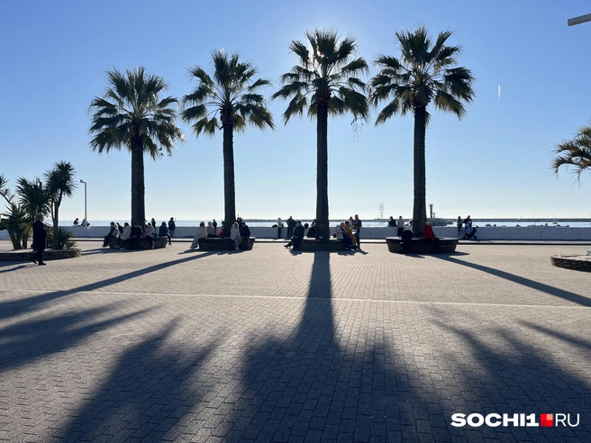 Люди наслаждаются теплом  | Источник: Анна Грицевич / SOCHI1.RU