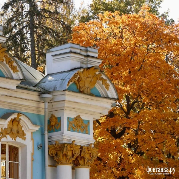 Источник: Лада Шаталова / читательница «Фонтанки»