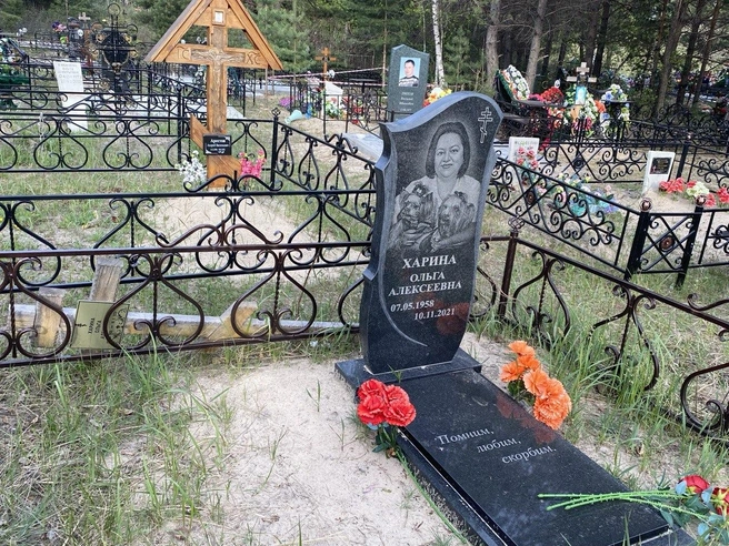 Чаща всего это собаки | Источник: Ирина Господаренко / NGS22.RU