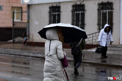 Прогноз: в Центральной России ожидается потепление с дождями