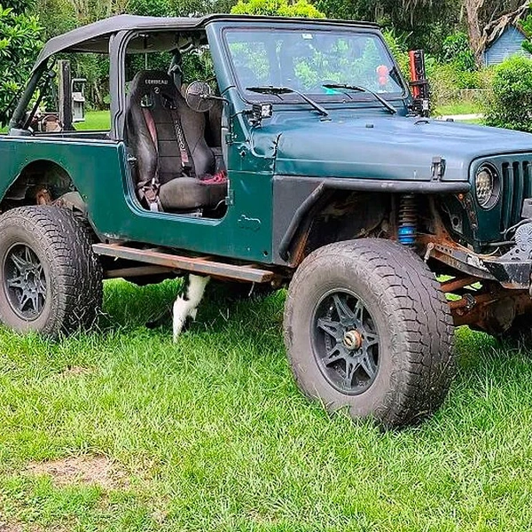 Источник: соцсети