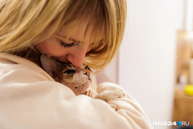 Вы думаете, это просто котик? Это несколько килограммов неконтролируемого обаяния | Источник: Мария Ленц / NGS24.RU
