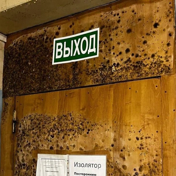 Плесень поразила стены и потолок | Источник: Артемий Азаров / t.me