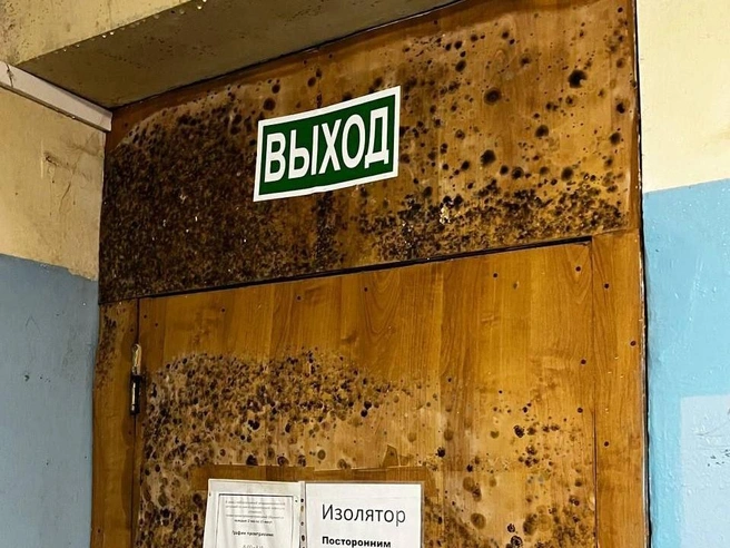 Плесень поразила стены и потолок | Источник: Артемий Азаров / t.me