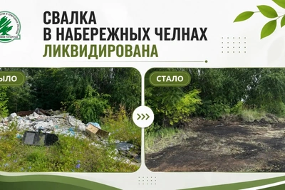 Свалку в Набережных Челнах убрали по предписанию экологов