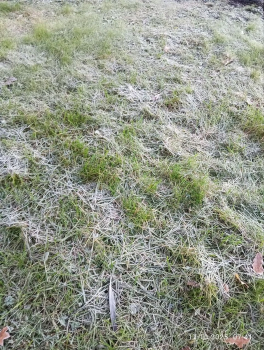 Колесов: сжималось кольцо отрицательных температур с окраин к центру Петербурга | www.fontanka.ru