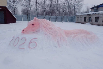 Снежная лошадь: осужденные создали символ года