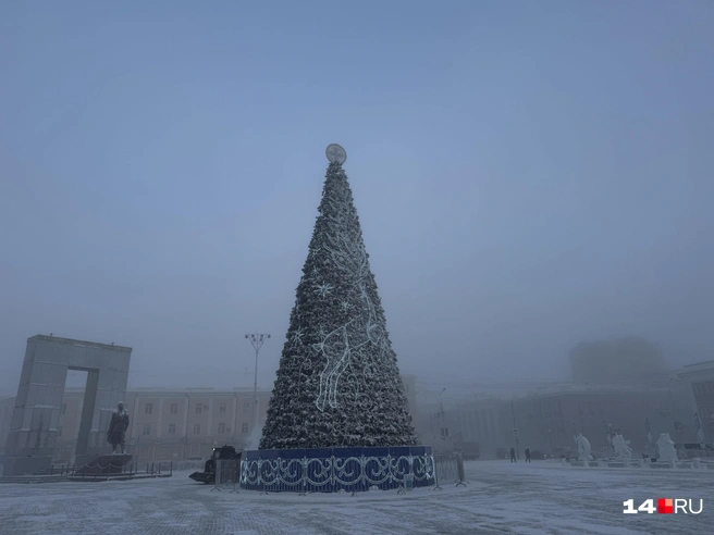 Рядом с елкой убирают снег | Источник: Ольга Донская / 14.RU