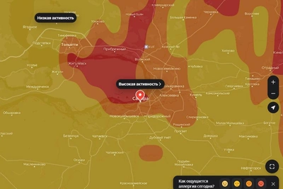Аллергены окрасили карту Самары в красный