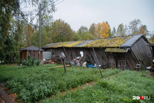 Источник: Иван Митюшёв