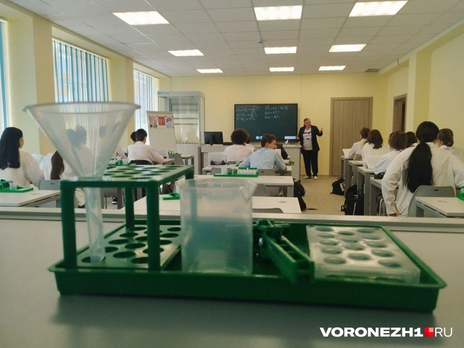 Источник: Дмитрий Волгин / Voronezh1.ru