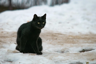 Warming Expected in Rostov Oblast on January 30