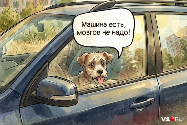 Эта поговорка работает не только во время вождения | Источник: Полина Авдошина / Городские медиа