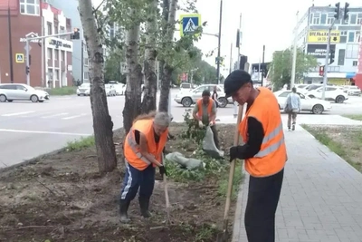 Более 16 тысяч квадратов газонов обновили в Благовещенске