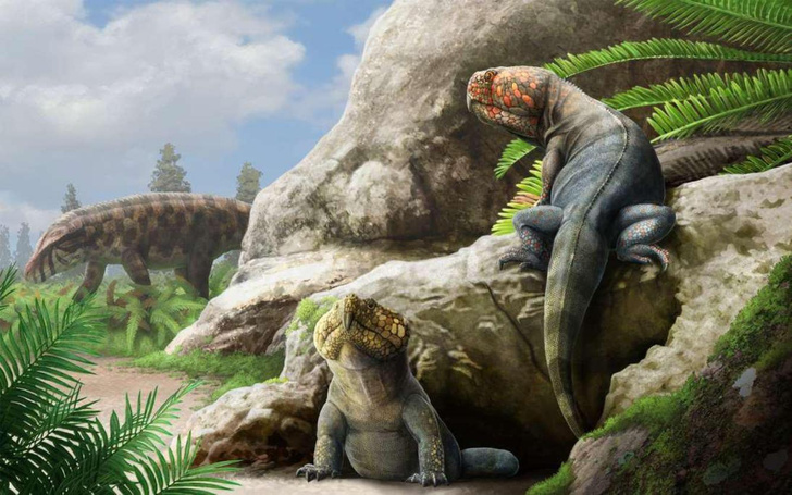 Динозавр с Дикого запада: посмотрите на ящера с клювом, которого не смогли классифицировать ученые