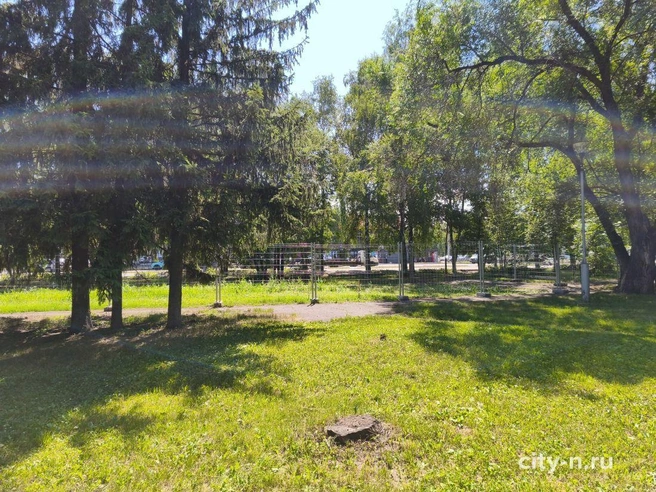 Источник: www.city-n.ru