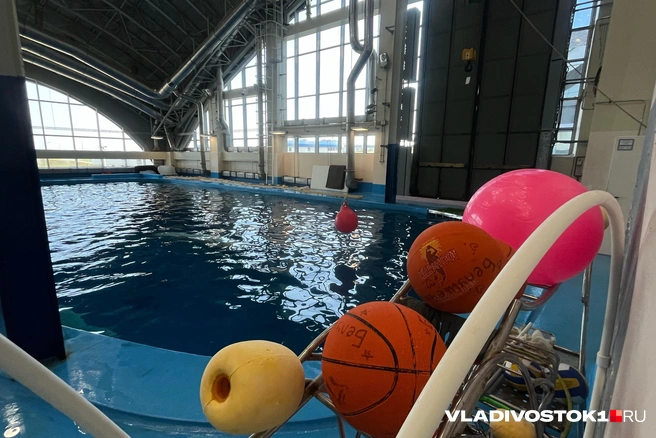 Источник: Елена Буйвол / VLADIVOSTOK1.RU