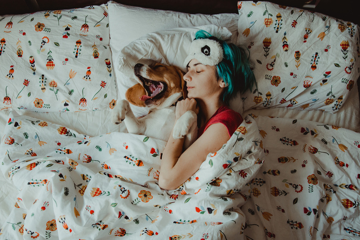 3 причины разрешить собаке спать вместе с вами в кровати