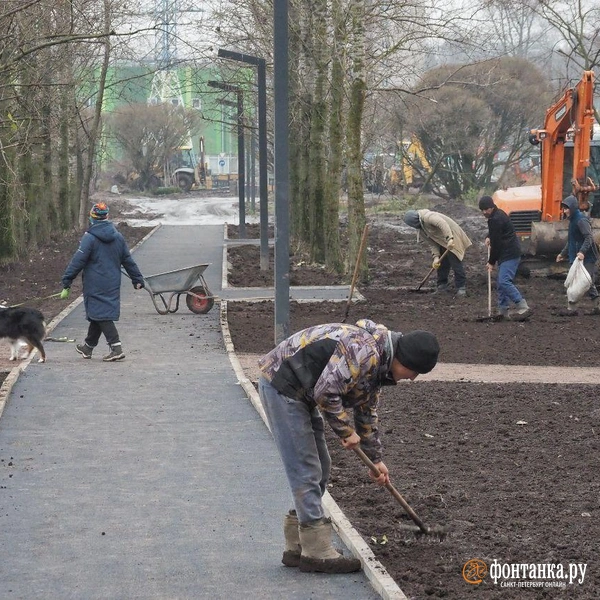 Источник: Михаил Огнев / «Фонтанка.ру»
