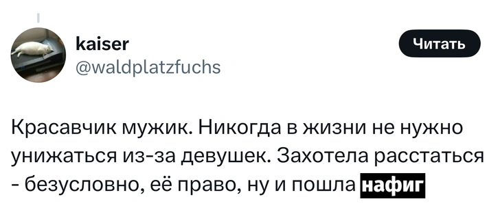 Источник: X (Twitter)