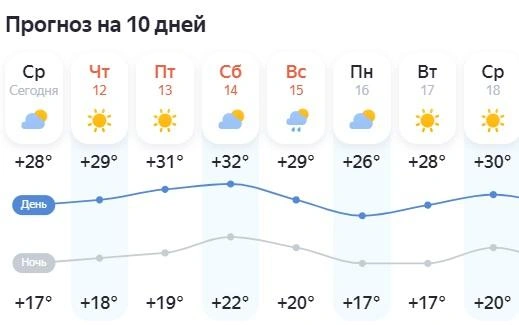 Данные у синоптиков и сервисов на 15 июня расходятся. Возможно, все-таки и будет небольшой дождь | Источник: «Яндекс.Погода»