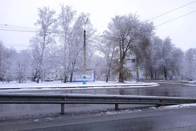 Грузовик опрокинулся в Ульяновской области, водитель погиб