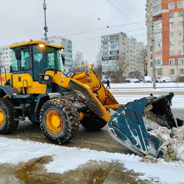 Источник: Комитет по благоустройству Петербурга