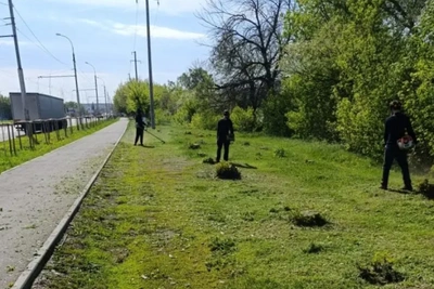 Покос травы в Железнодорожном районе