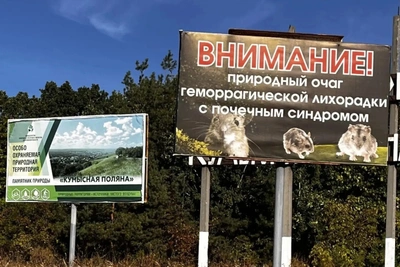 На Кумысной поляне проведут сплошную дератизацию