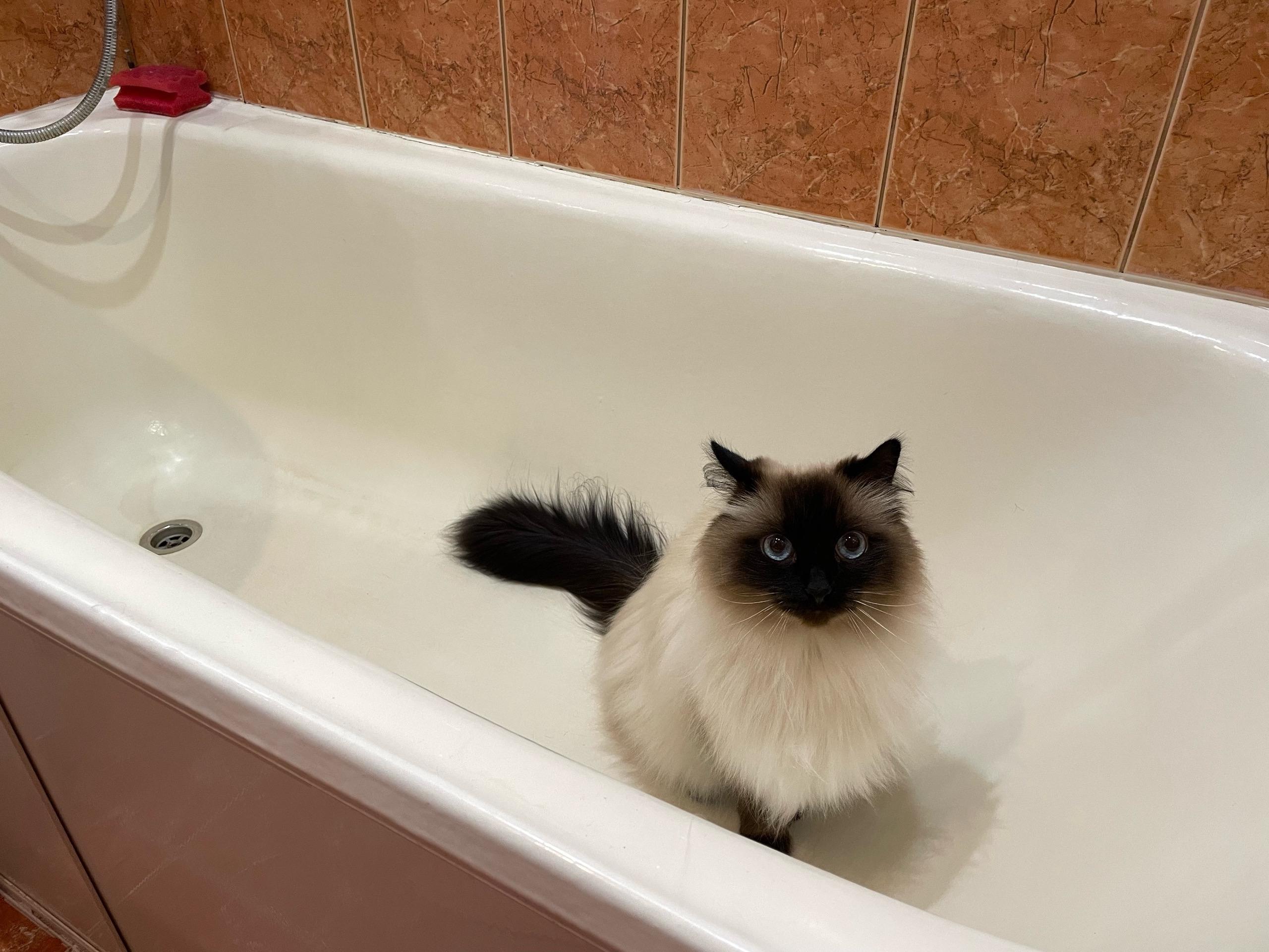 В первую рабочую неделю января в Перми отключат воду в нескольких десятках домов — список адресов