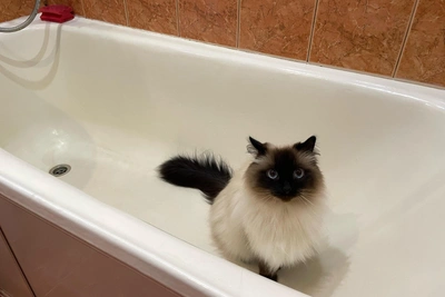 В Перми на неделе отключат воду в десятках домов