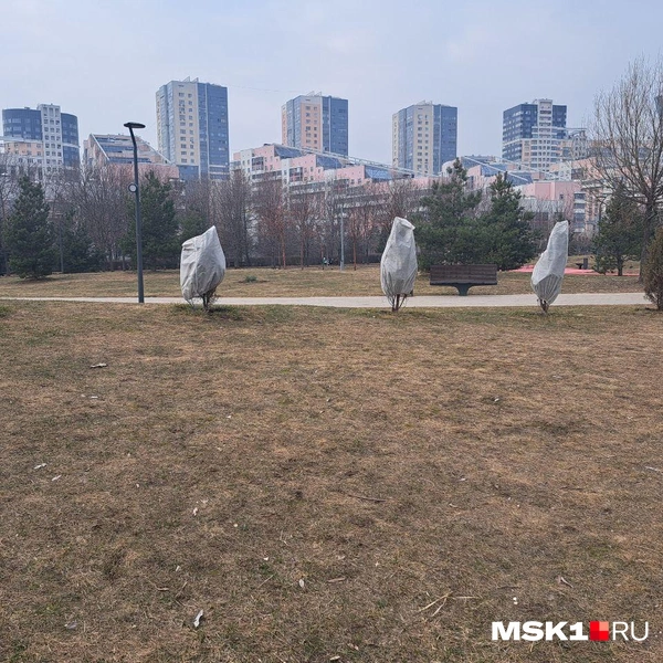 Источник: Арина Майорова / MSK1.RU