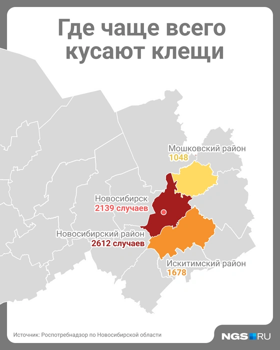 Источник: Юрий Орлов / Городские медиа