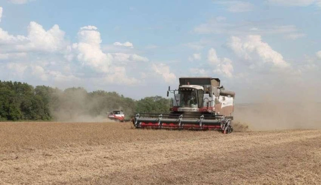 Средняя урожайность достигла примерно 34,5 ц/га | Источник: nk-tv.com