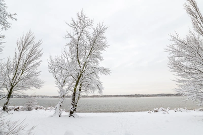 Тест: узнайте значения слов тютина, цеберка и ерок