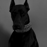 Аватарка LUNA