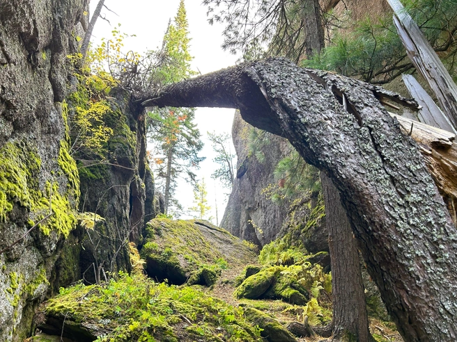 Место для романтики | Источник: Алексей Тайганавт