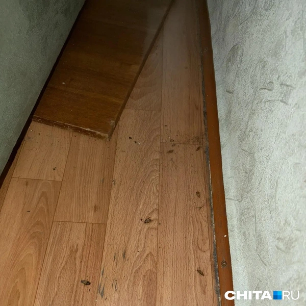 Источник: местные жители