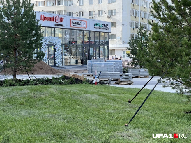 Новый газон | Источник: Андрей Бирюков / UFA1.RU
