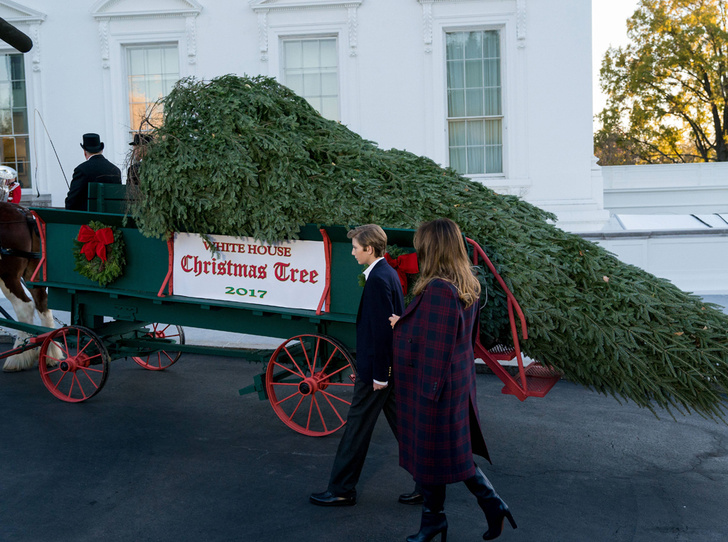 Мелания Трамп с сыном встретили рождественскую елку