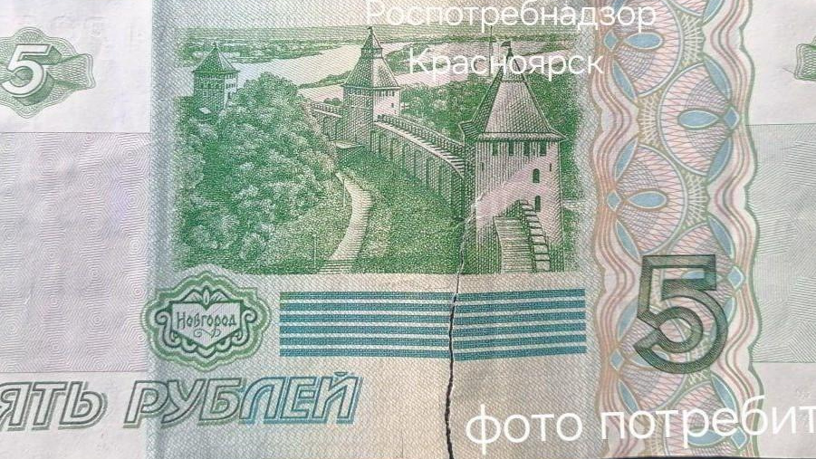 У жителя Красноярского края не приняли оплату из-за порванной купюры. А так можно было?