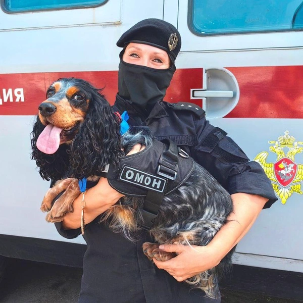 В Петербурге торжественно проводили на заслуженный отдых служебную собаку Пулю. Рассказываем про её достижения | Источник: Главное управление Росгвардии по Петербургу и Ленинградской области