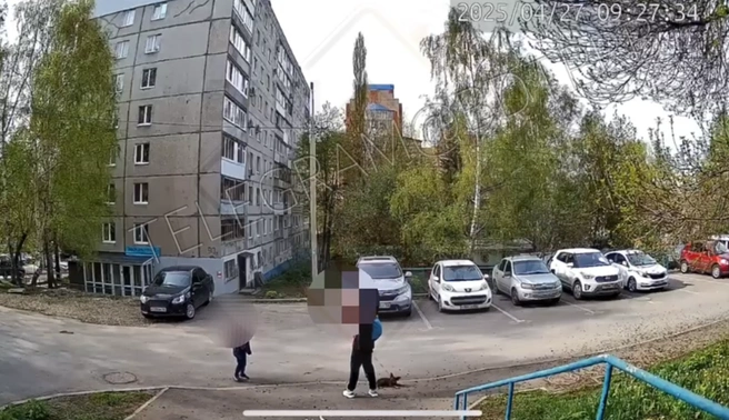 Полиция разбирается с уфимкой | Источник: БашДТП / t.me