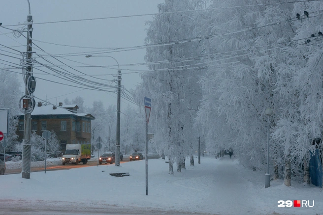 Источник: Иван Митюшёв / 29.RU